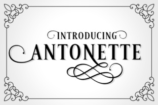 Antonette: A Serif Font for Luxurious Branding and Retro Design