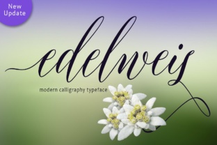 Edelweis: A Timeless Script Handwritten Font for Designers