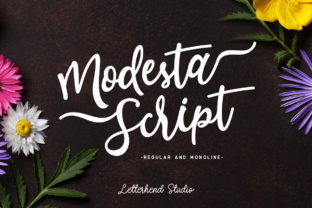 Modesta Script: A Feminine Touch for Editorial Design