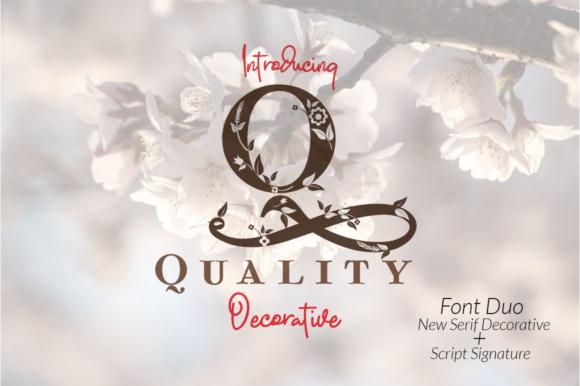 Quality: A Decorative Font That Elevates Every Design