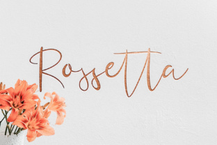 Rossetta: A Script Font That Elevates Branding with Grace and Feminine Elegance