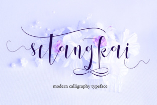Setangkai Script for Elegance in Branding and Design