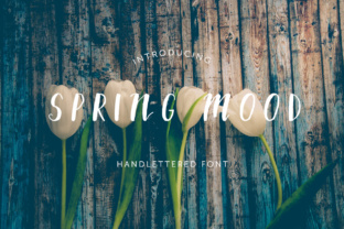 Spring Mood: A Versatile Script Handwritten Font for Creative Branding